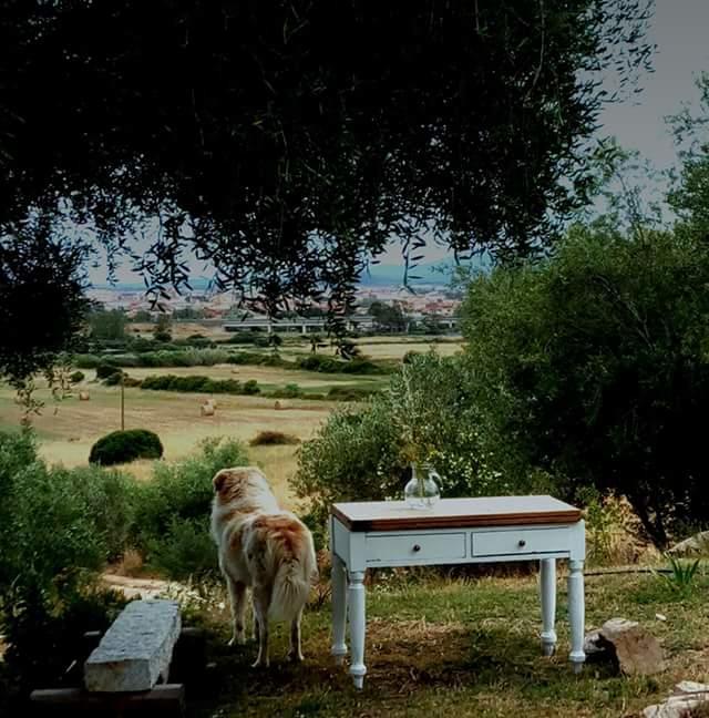 Nacchinono Olbia Exterior foto